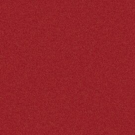 Produktbild zu Single Color