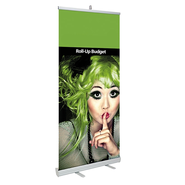 Roll- Up Displays Budget
