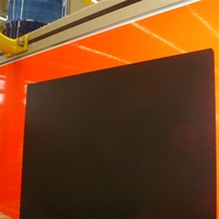 Produktbild fr '3M High Performance Blackout Film'