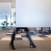 Produktbild fr 'Avery Dennison Dusted Glass Easy Apply'