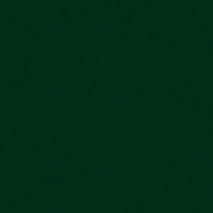 3M Scotchcal Farbfolie Serie 100, 008 - tannengrün