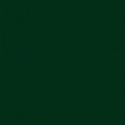 3M Scotchcal Farbfolie Serie 100, 008 - tannengrn